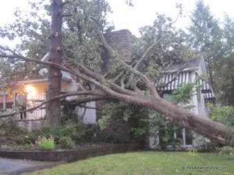 Large tree uprooted and leaning into a home